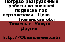 Погрузо-разгрузочные работы на внешней подвеске под вертолетами › Цена ­ 1 000 000 - Тюменская обл., Тюмень г. Услуги » Другие   